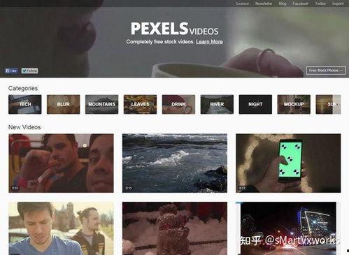 日本娱乐界爆料视频网页,揭秘热门视频背后的真相  第3张