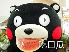 吃瓜看剧原声在线听免费,尽在在线音乐盛宴 第1张 吃瓜看剧原声在线听免费,尽在在线音乐盛宴 第1张