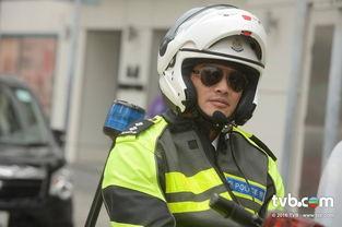 铁马战车在线观看粤语,热血激战，驰骋战场！  第3张