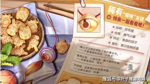 荣耀典藏最新爆料纤歌帝,揭秘全新爆料背后的神秘魅力 第3张 荣耀典藏最新爆料纤歌帝,揭秘全新爆料背后的神秘魅力 第3张